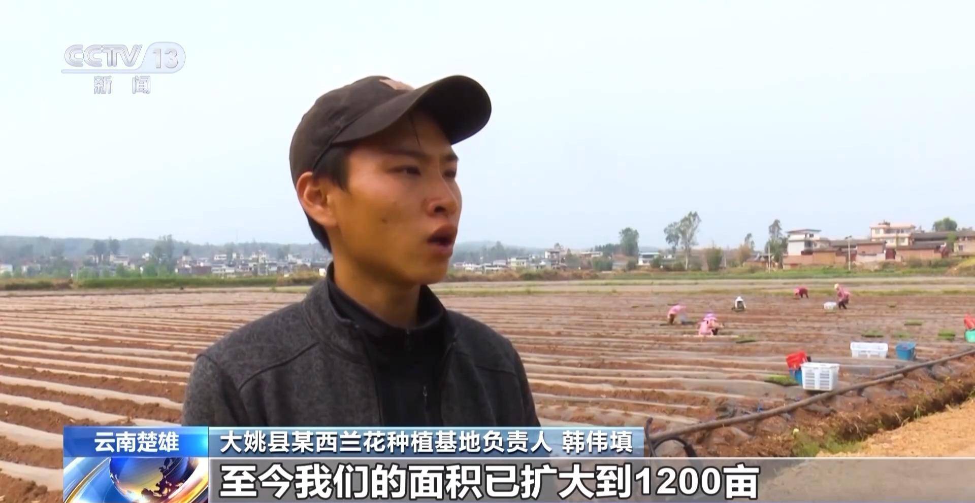 陆良县某农业公司生产主管 周俊:我们喷灌每亩每