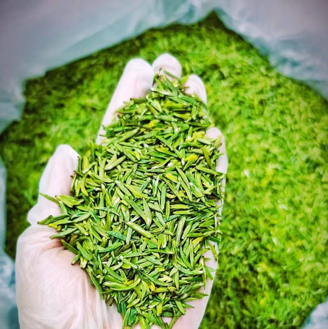 黔茶出山顺丰鲜到