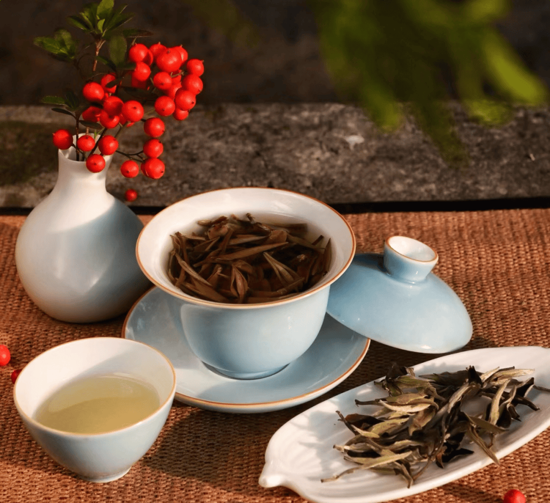 可以喝的展厅 | 中茶博邀您品一杯春日好茶