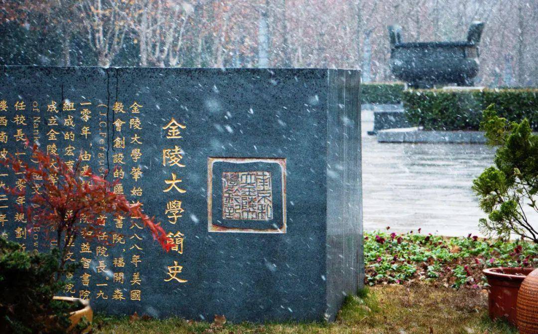 你为什么非要上那个南京大学啊?_摄影_国立中央_中国