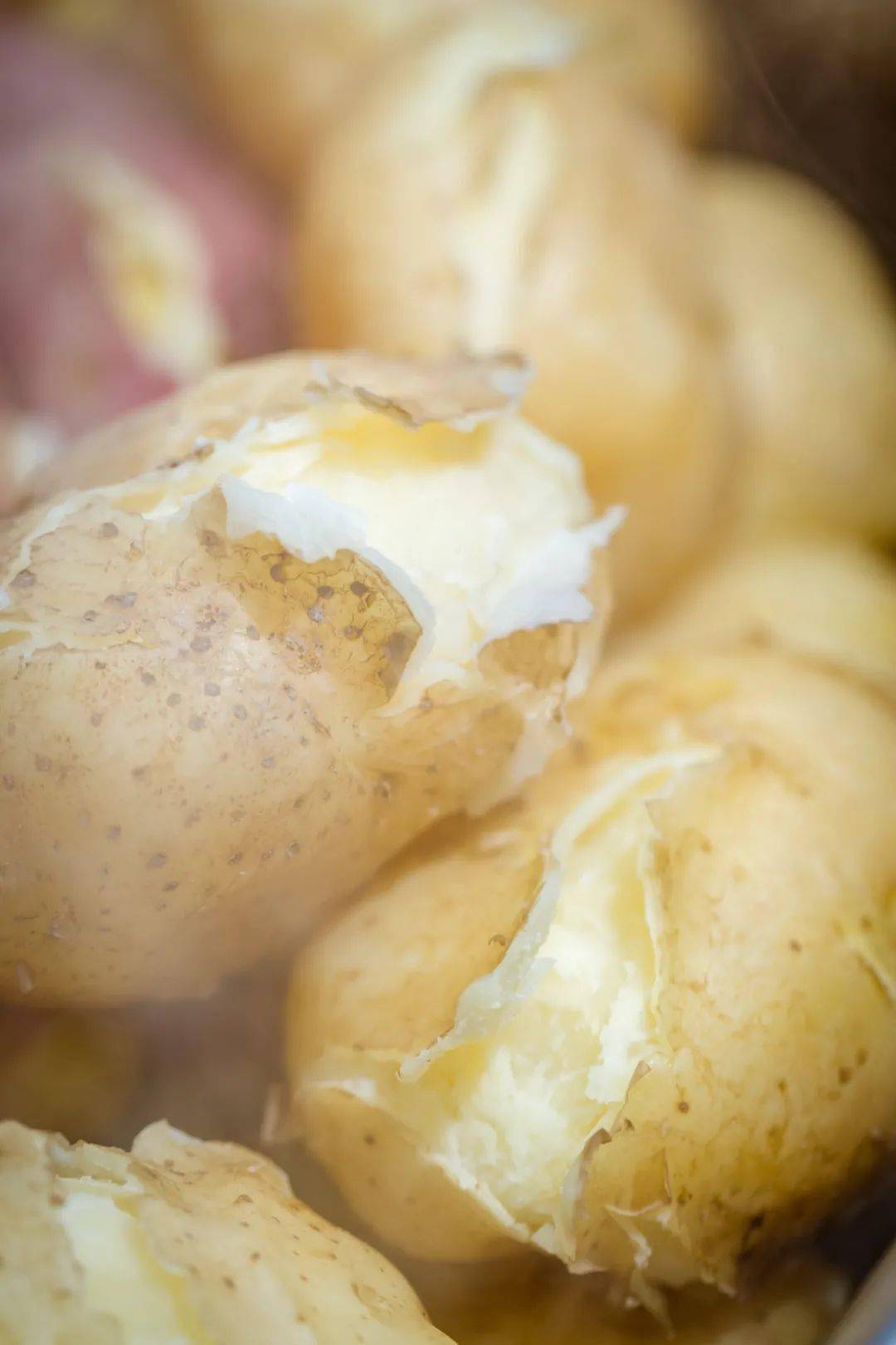 火上热搜的甘肃麻辣烫有了它才有灵魂