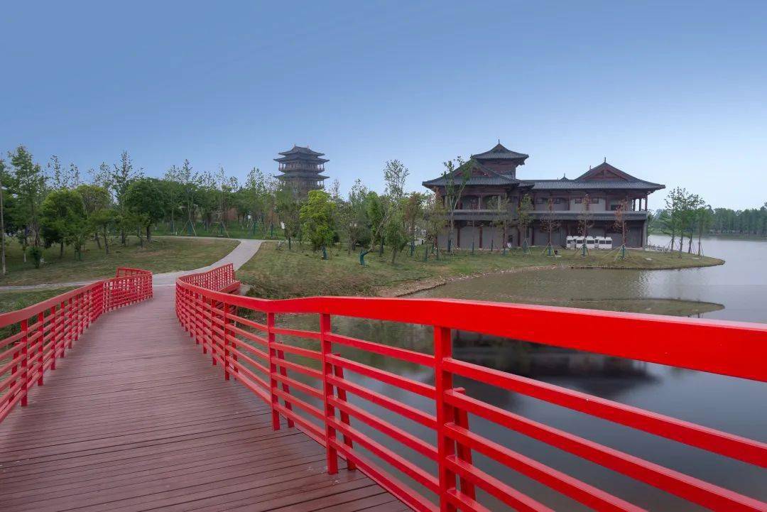 【醉美盐城】纯玩2日游_花海_旅游_荷兰