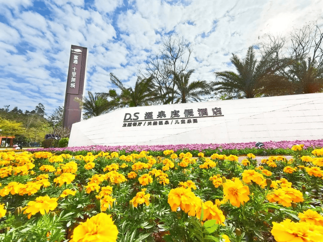阳春ds温泉度假酒店享粤西顶流泡温泉都会人均仅需063993月27日;4月