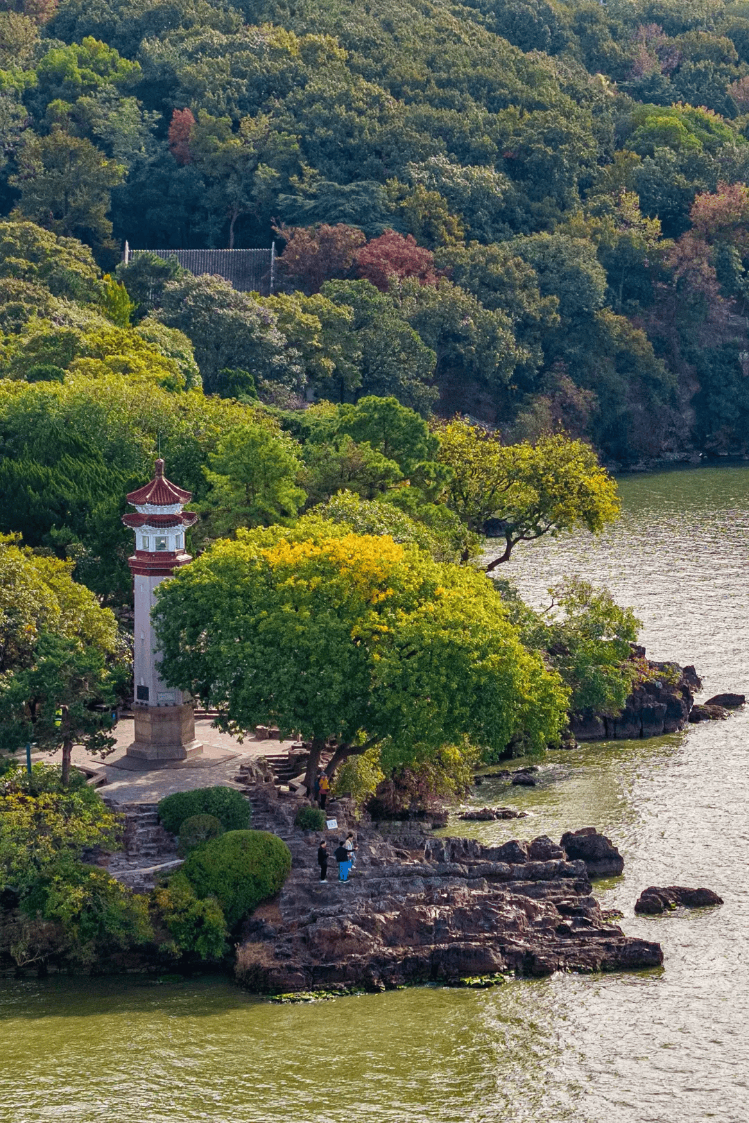 2020年无锡免费景点图片