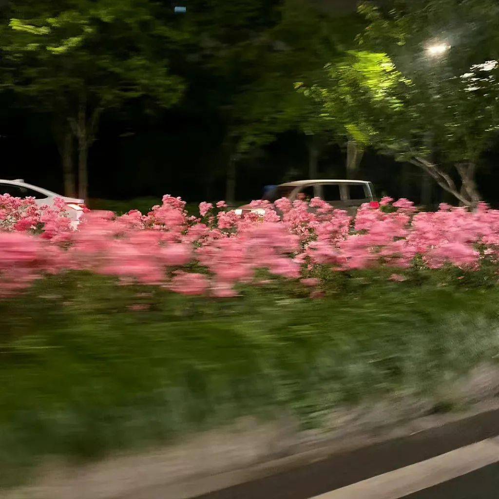 背景图是好看的朋友圈背景图