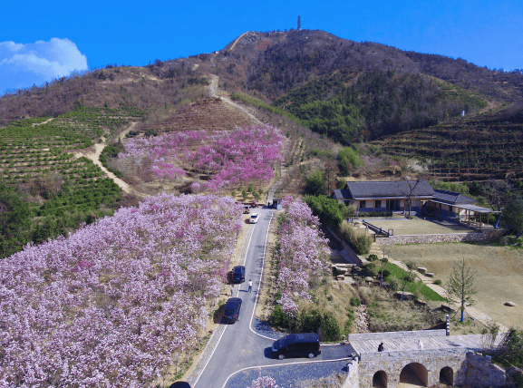 冶父山酒图片