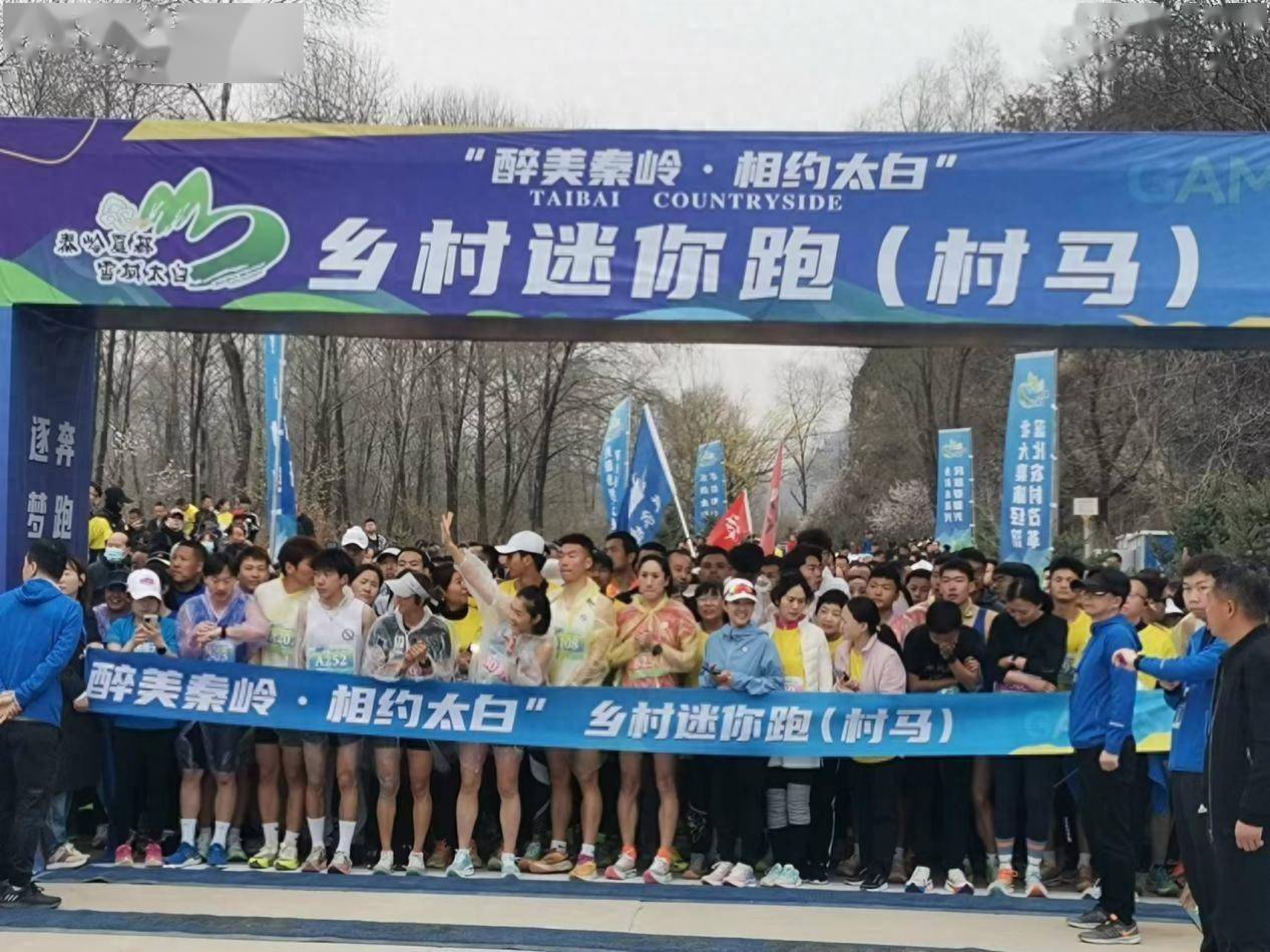 "醉美秦岭· 相约太白"乡村迷你马拉松开跑_活动_桃川镇_枣园村