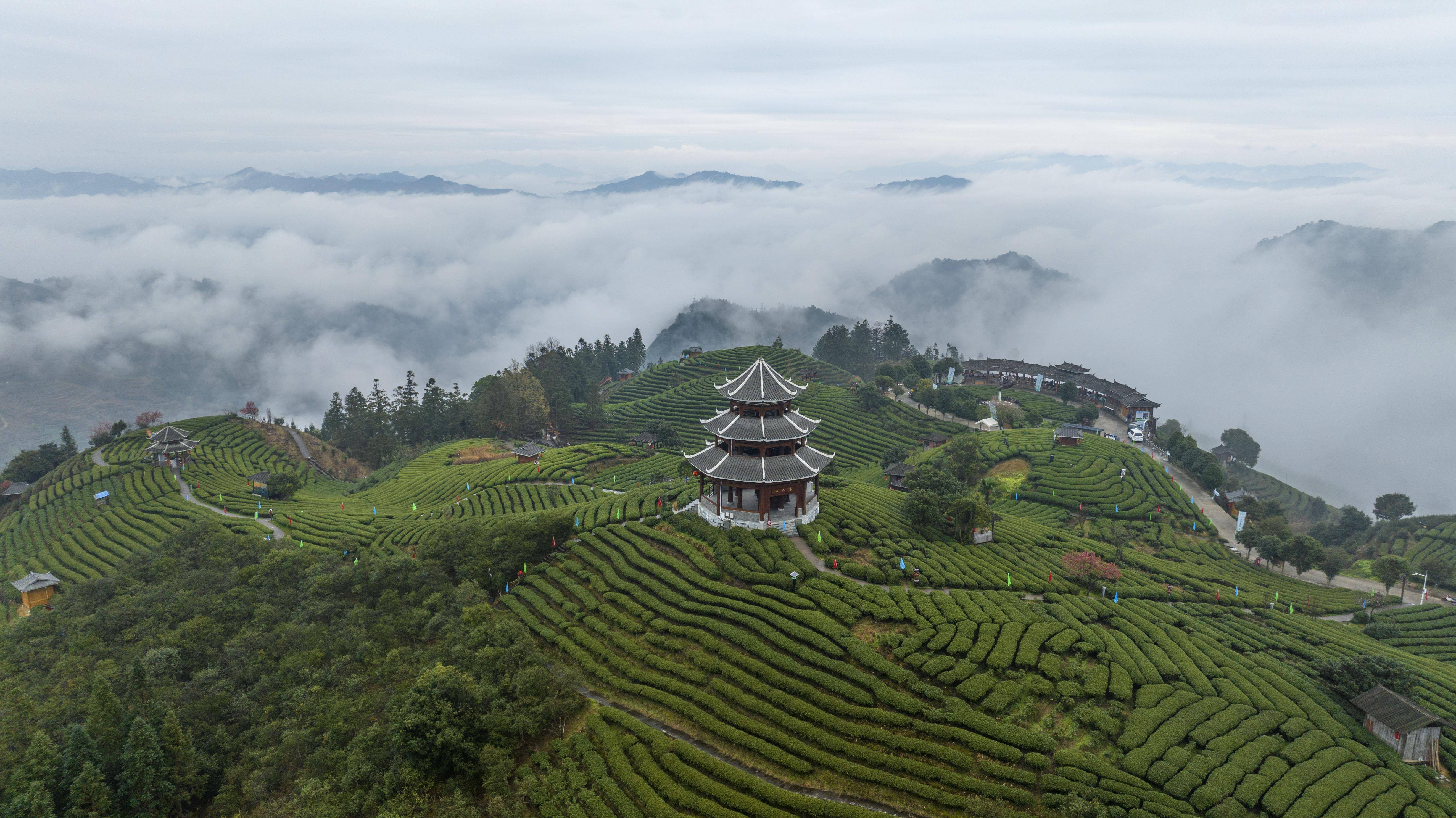 春回大地 风景美图片