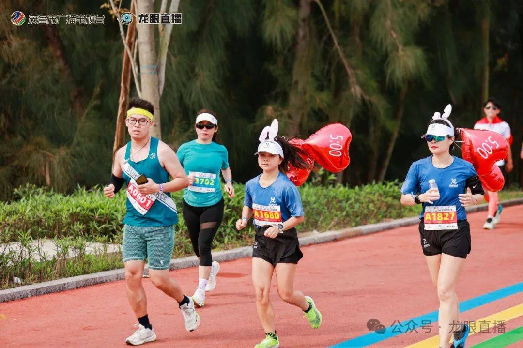 2026年,广东省第十七届省运会将在茂名举办,茂名也将借助此次的茂马的