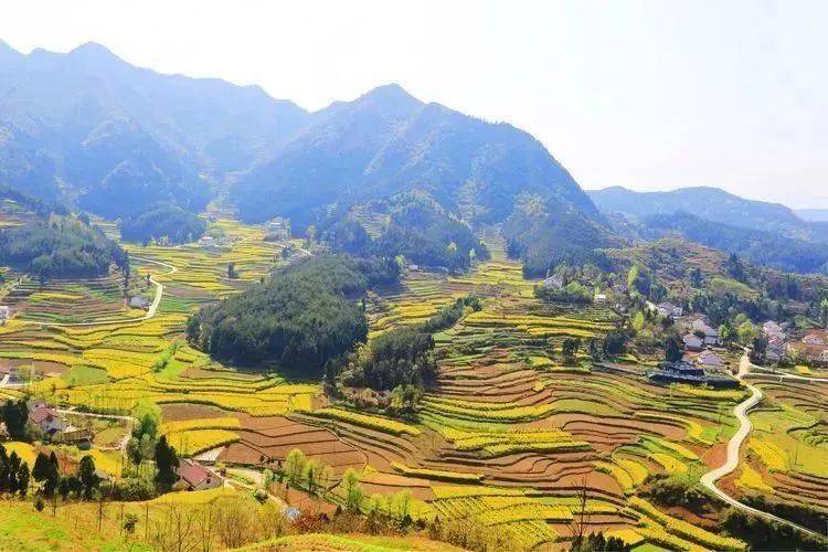 游古镇观花海,共享"海底捞"之旅~_勉县_游三国_文化