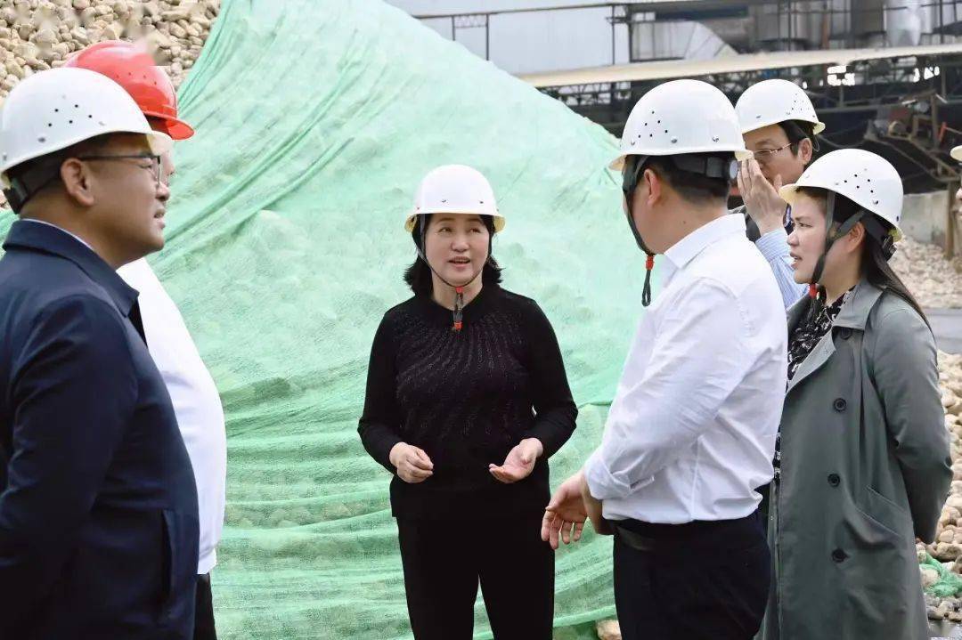 加快整改合力攻坚省第五督察组赴怀化麻阳开展下沉督察