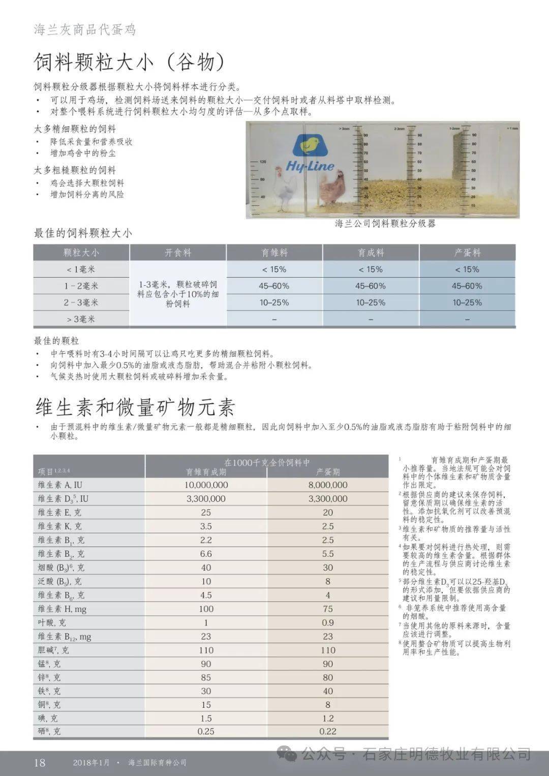 海兰灰蛋鸡产蛋率图片