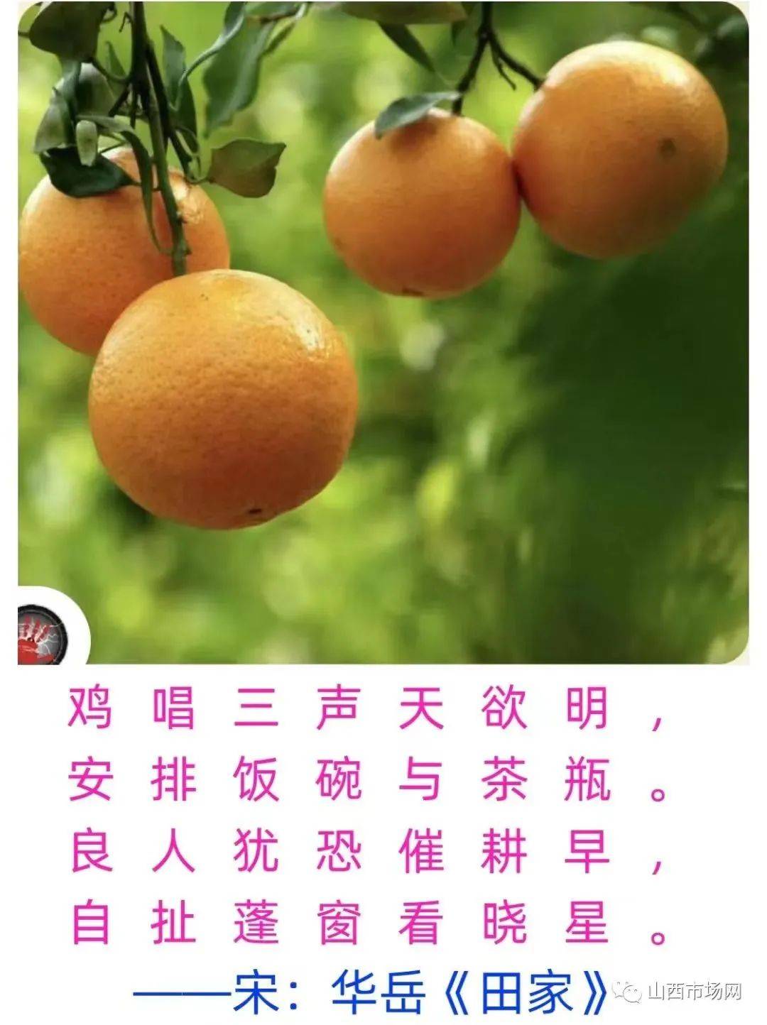 山西市场导报世界读书日专稿韩锡璋在士君读书会上的万言分享跨界诗人