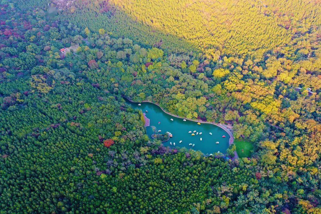 淮北相山公园上新啦