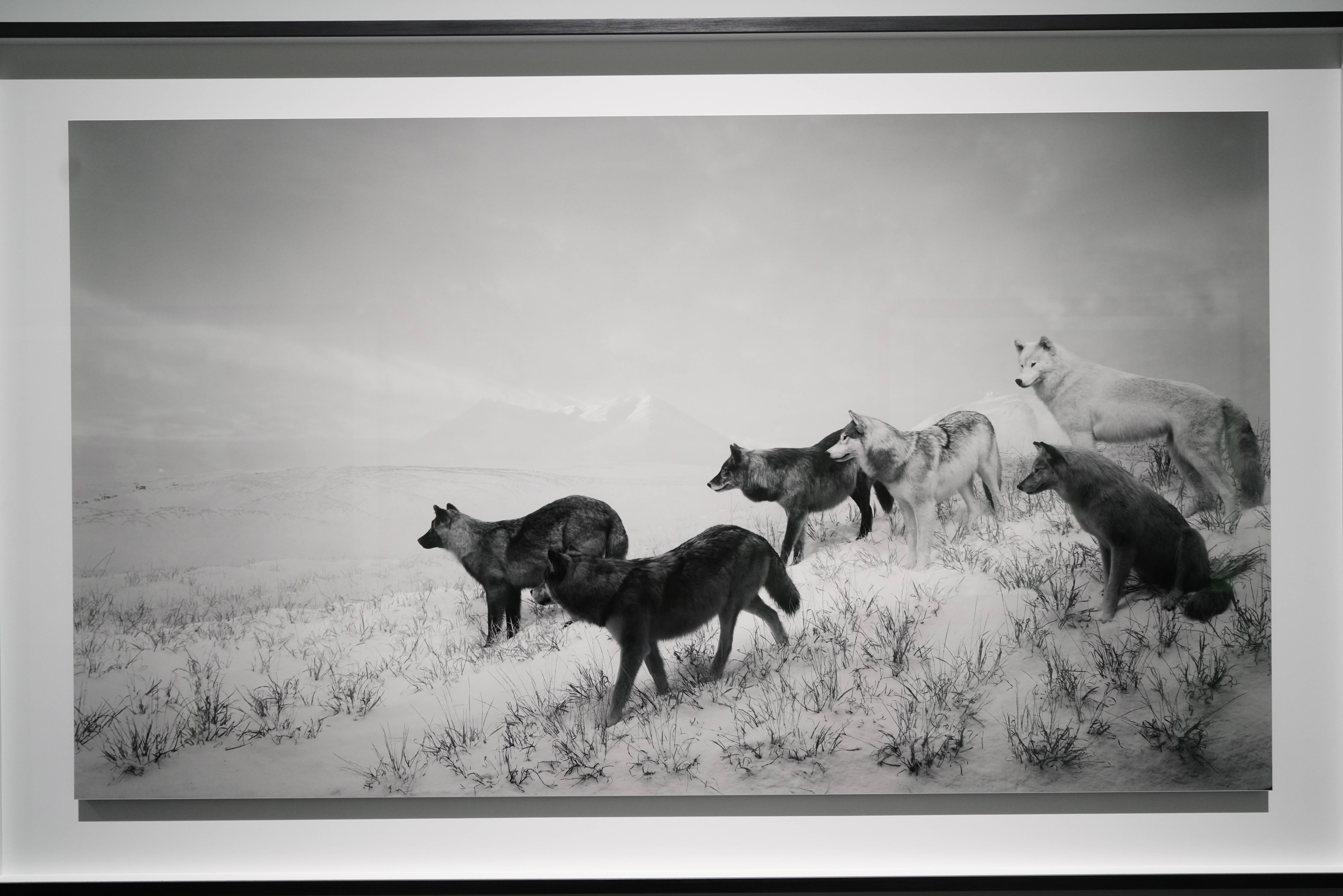 现场|"无尽的刹那":看杉本博司五十年的摄影与跨越