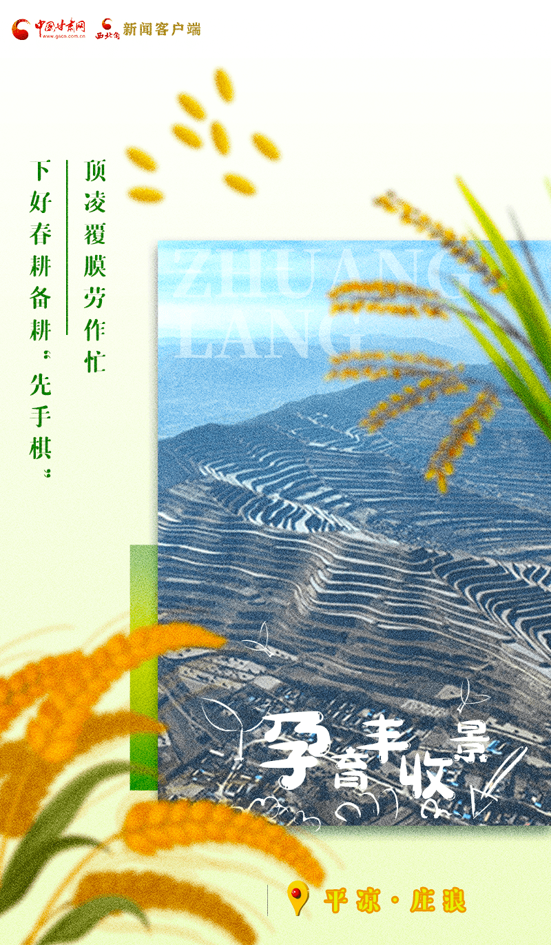 甘快看海报瞧甘肃春耕大片来了