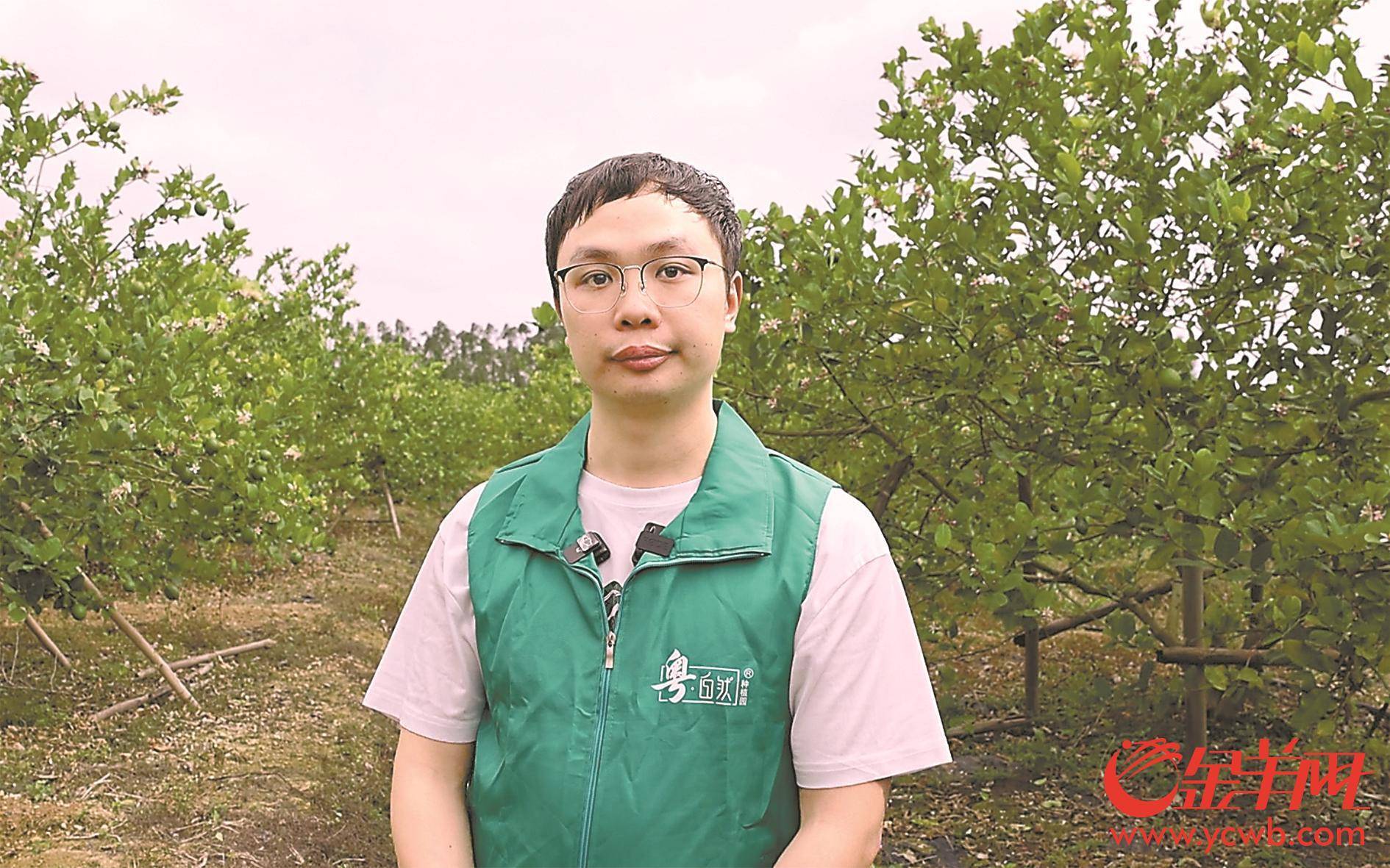 小柠檬也可以做成大产业这对父子欲将香水柠檬吃干榨净