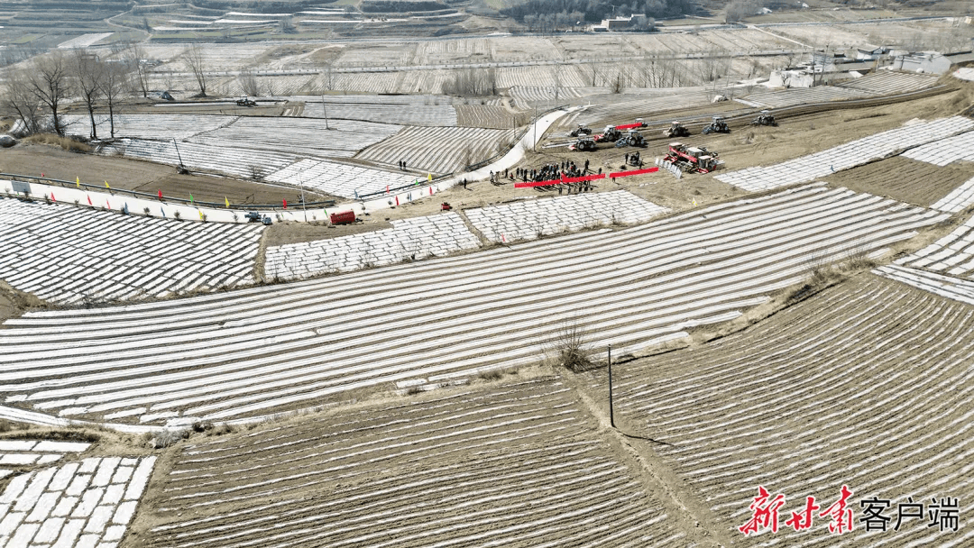 省媒看临夏积石山油菜生产全程机械化助群众增产增收