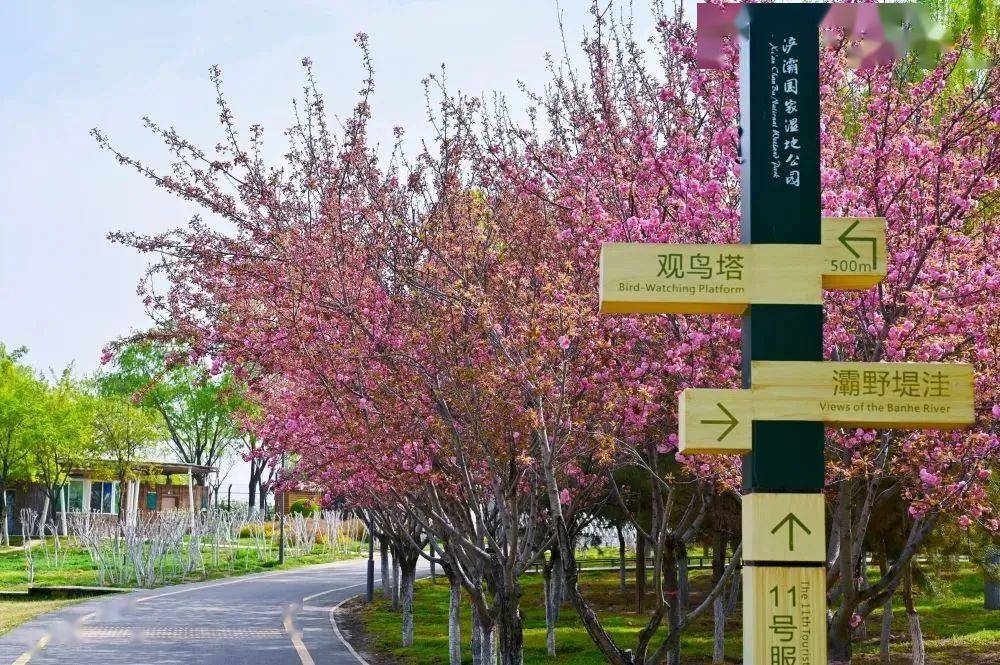 浐灞国家湿地公园桃花潭公园灞河两岸奥体中央公园新寺遗址公园秦汉