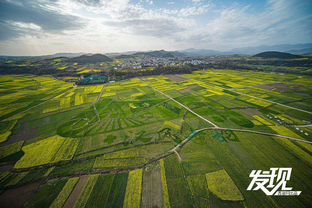 陕西汉中洋县万亩金黄吸引八方游客_油菜花_旅游_花海