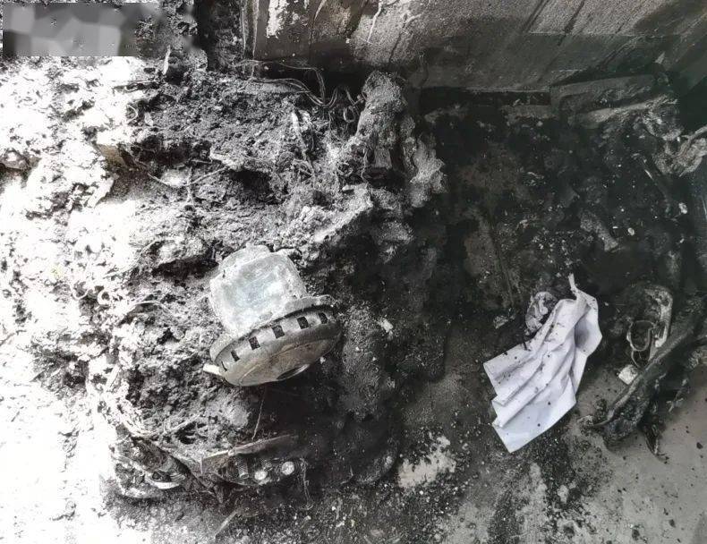 梅州一夫妻回家惊呆客厅烧得一片狼藉猫咪死亡火场真凶竟是