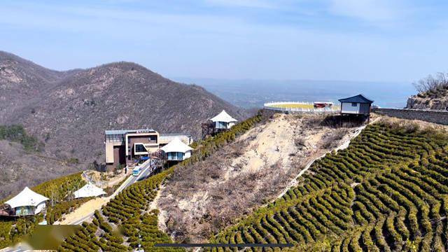 信阳浉河区茶旅融合绘就绿水青山新画卷