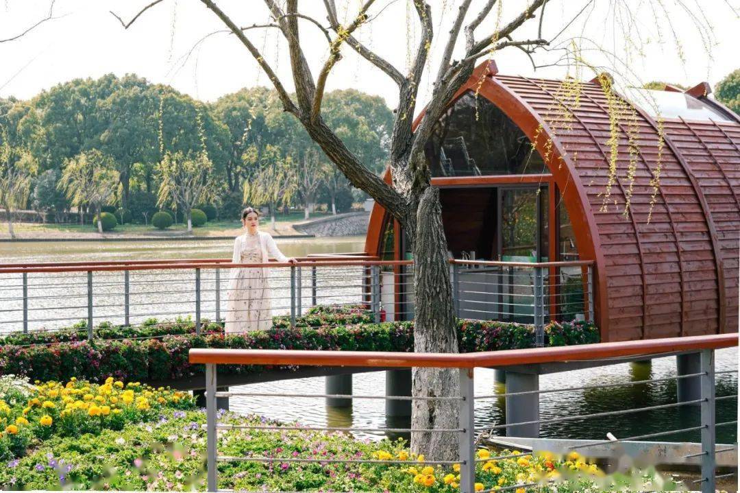 郁金香花展漫游指南来鲜花港与春天不期而郁