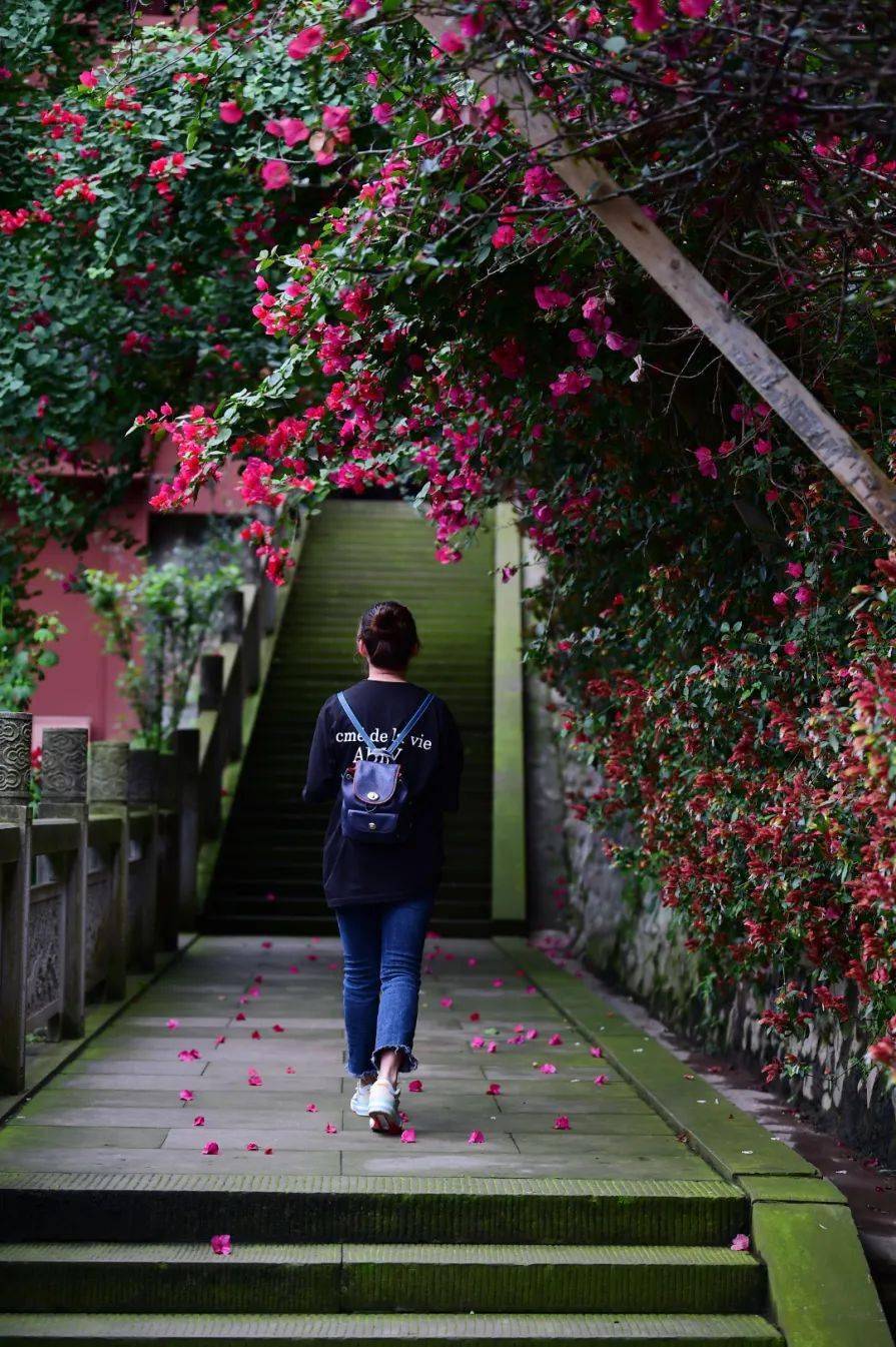 美好吹散了游山的疲惫天朗气清 气温舒适河风伴着艳阳散步山前春草香