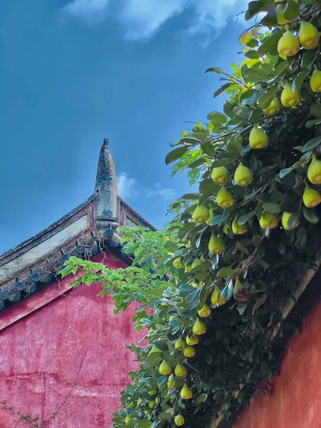 靖图百科跟着课文游中国三古韵之城人文宁波