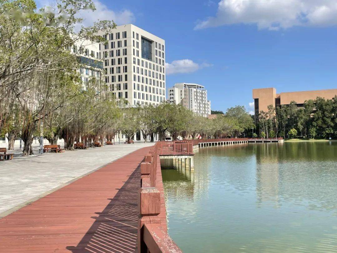 公办五邑大学23年录取分数线学校环境宿舍介绍