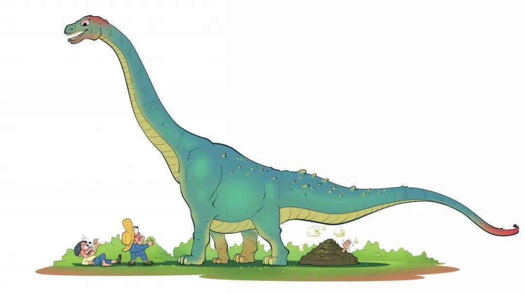 禄丰_恐龙_化石