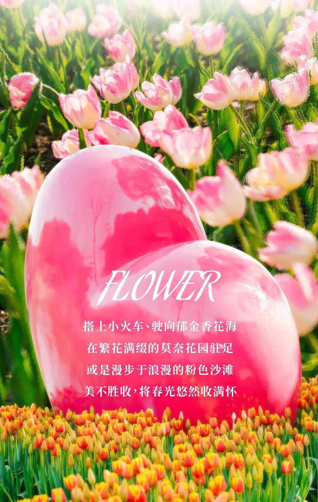 郁金香花展漫游指南:来鲜花港,与春天不期而"郁"_优惠票_繁花_门票