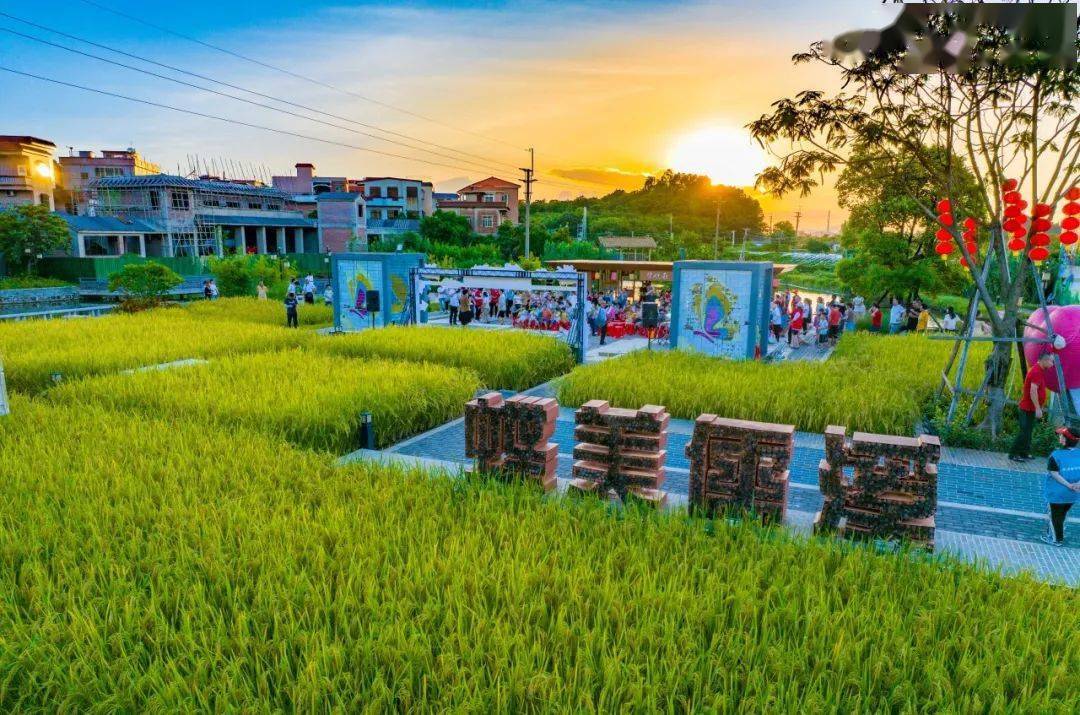 认真学大胆干西樵百名干部学习绿美破局战术