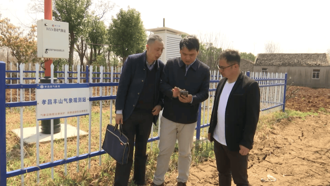 孝感这片八万亩桃花在央视灼灼盛放