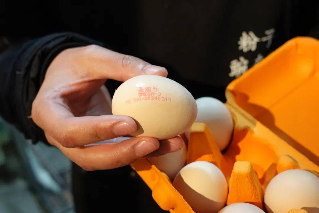 315过去的10天里我做了一个安心挑战