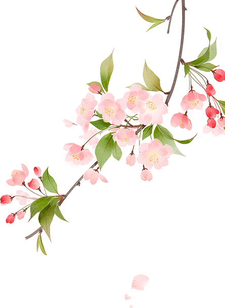 咽喉发炎肿痛蒲地蓝消炎片和复方鱼腥草片哪个更有效4个联合用药帮到