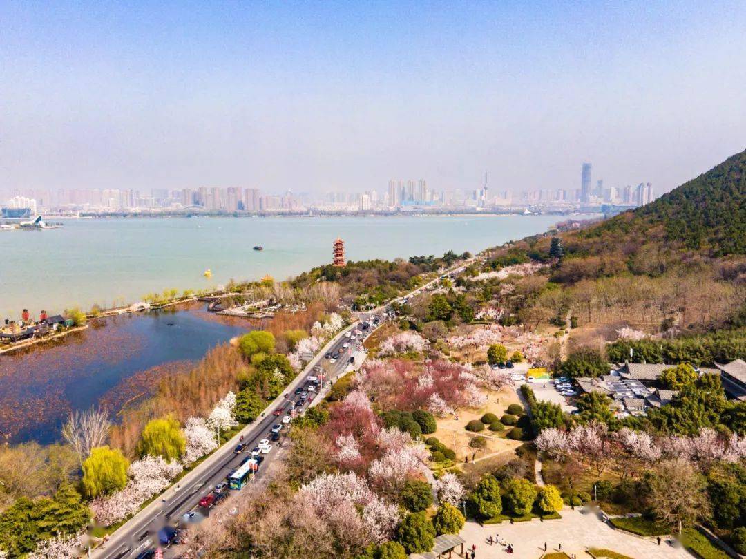 人间最美四月天彭城五条赏花线