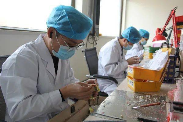 库尔勒:义齿加工厂生产忙 全瓷牙市场需求旺