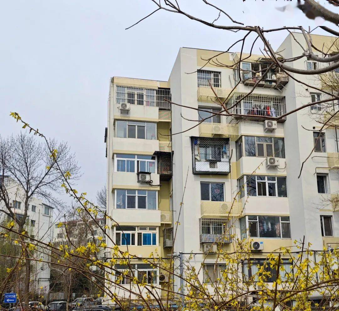 ​老旧小区"逆龄生长",居民生活"旧地升温"!_改造_社区_体育馆路街