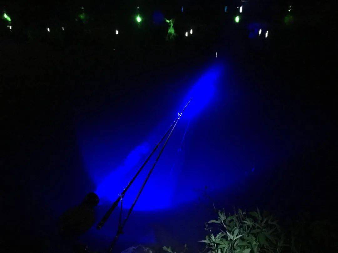 水深合适才能找到鱼,很多人都钓错了!