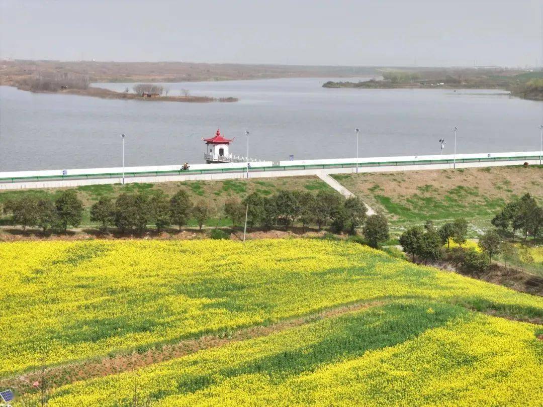 2024襄阳赏花地图发布这个春天和浪漫花海撞个满怀