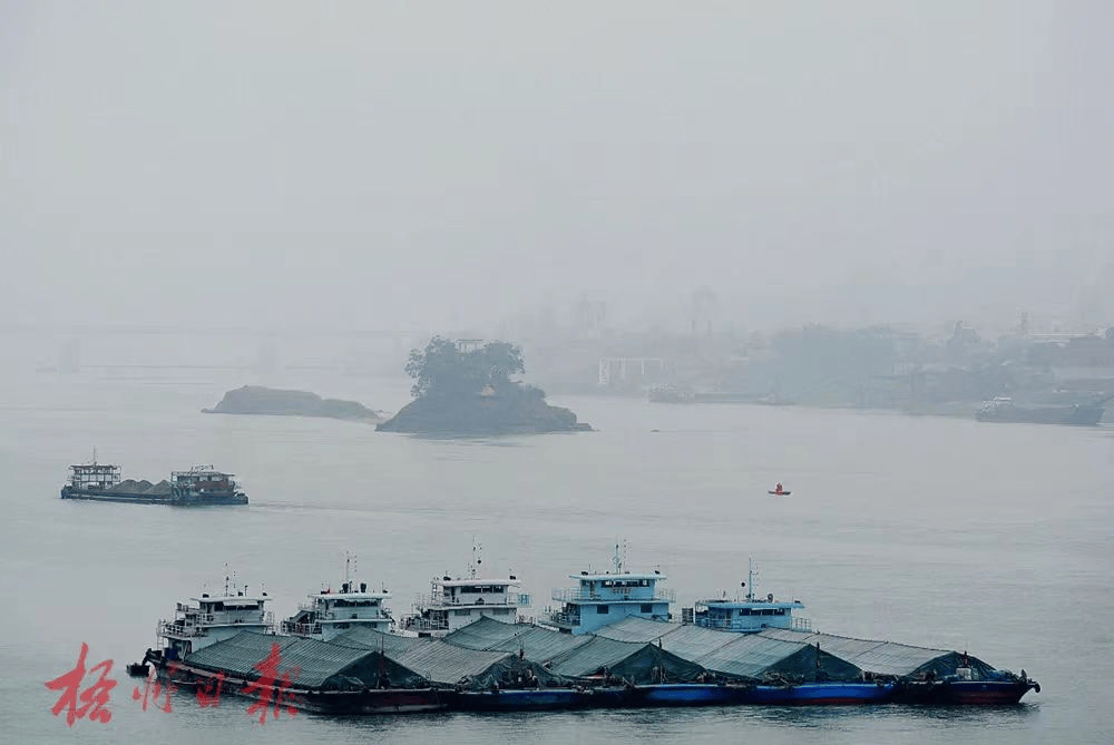 关于210975公里能给跑者的美好风光2024梧州半程马拉松这样说