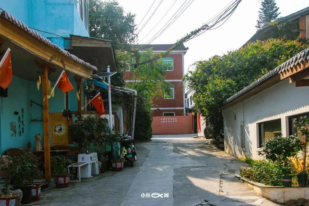 厦门家喻户晓的小香港鼎盛时上千华侨后无人问津如今