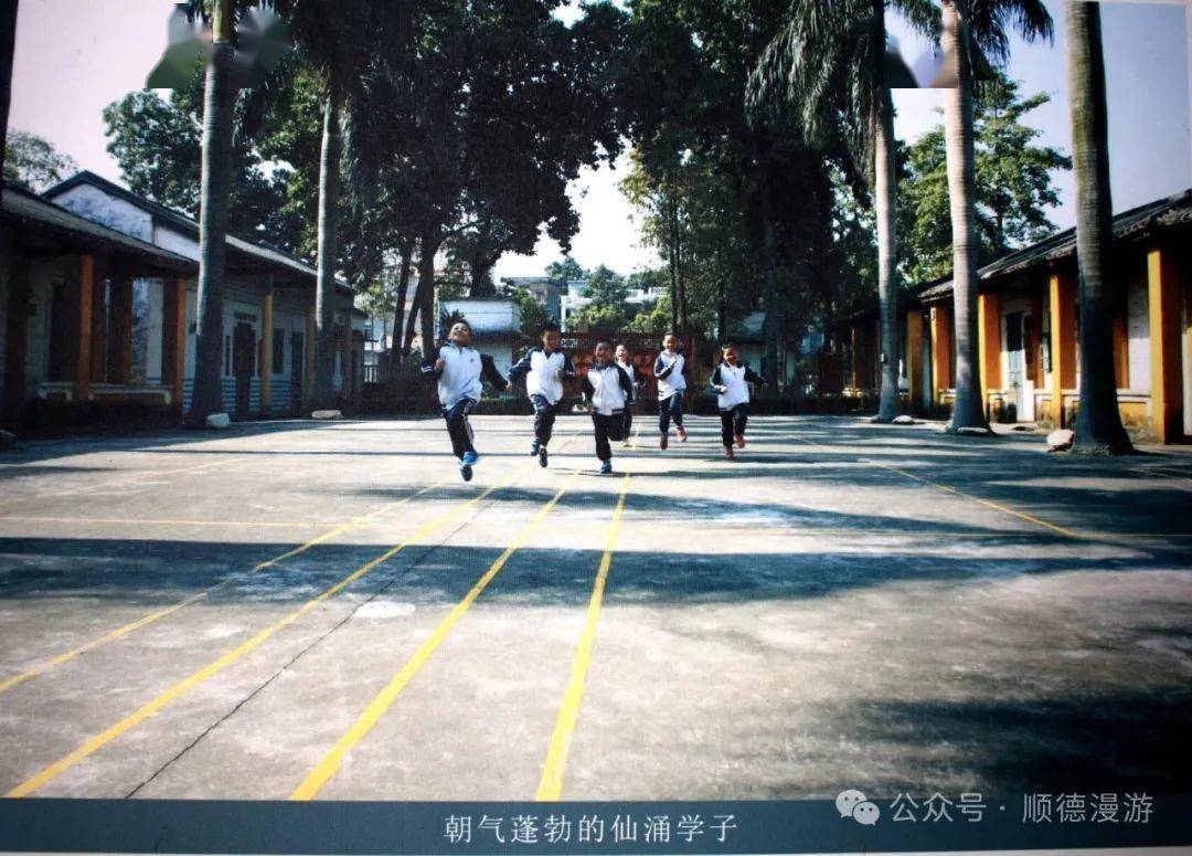 朝气蓬勃的仙涌学子  仙涌小学校园里集1948年建造的紫阳校区,1992年