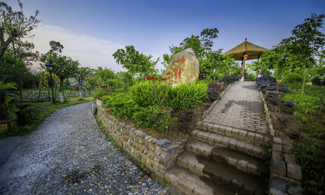 大渡口星级特色民宿南海地球村休闲时光的味蕾冒险之旅