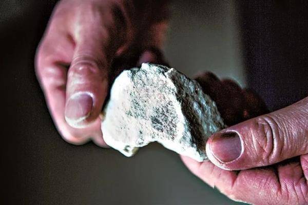 全部封堵一批案件加快办理宁夏亮剑盗挖贩卖龙骨