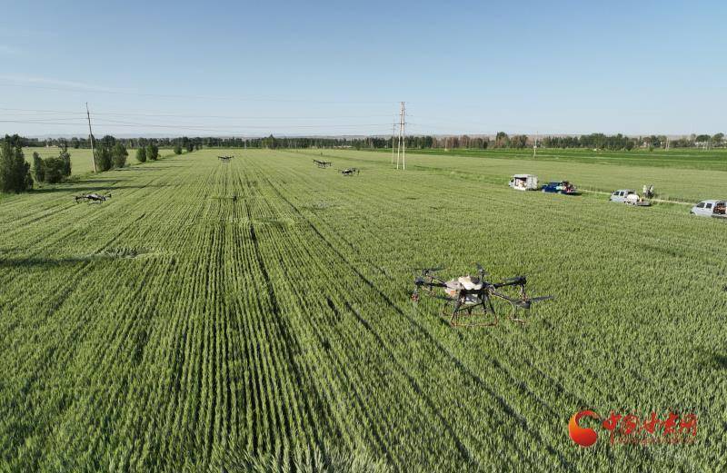 高台机械化赋能现代农业发展