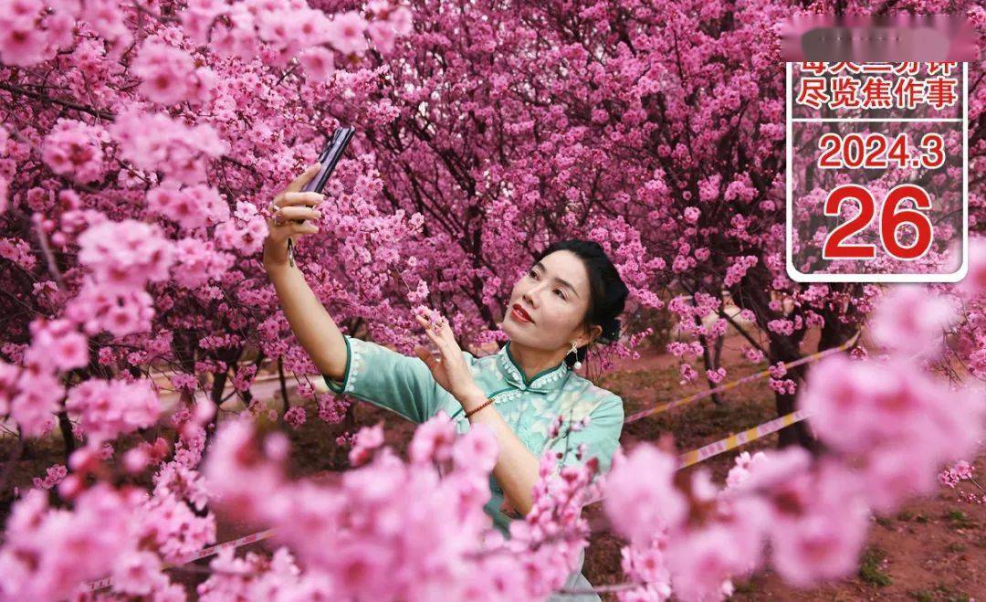 3月26日焦作热点新闻丨焦作市地理标志保护产品年产值