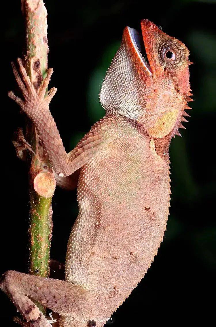 广西清明放假十一天打工人实名羡慕了