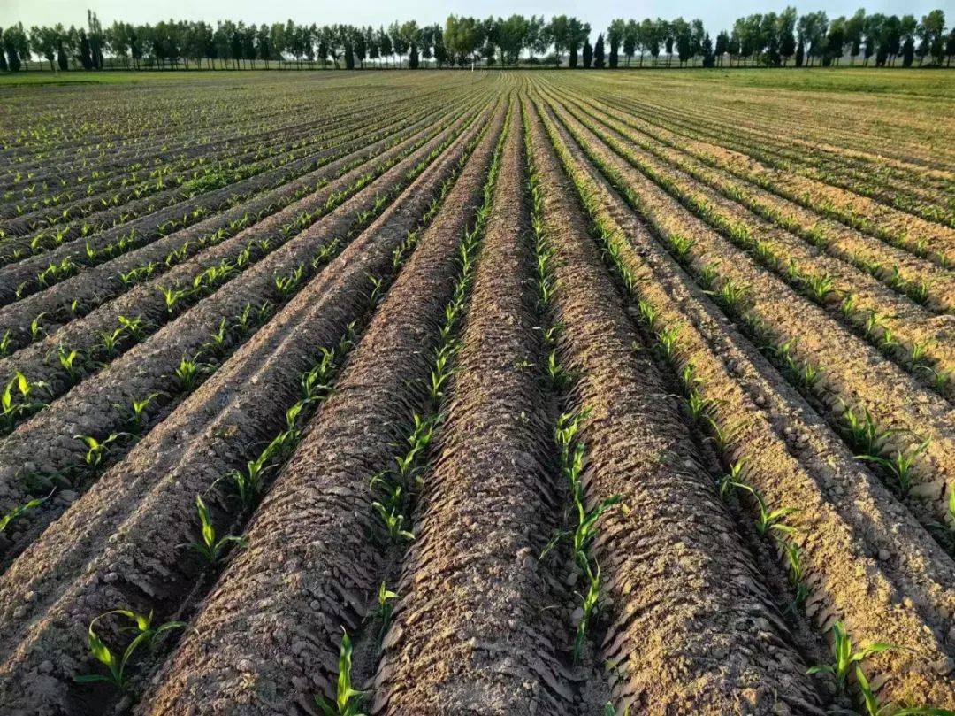 多项措施保驾护航全力抓好春耕备耕